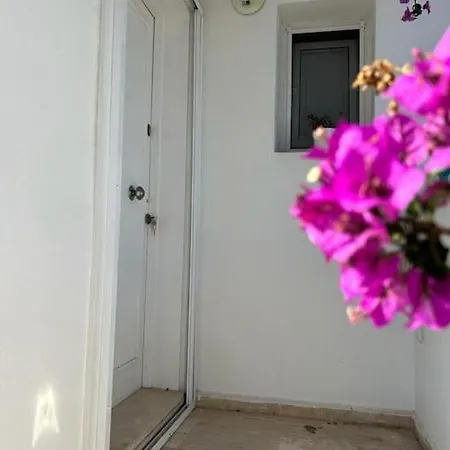 1+1 Flat For Rent In The Center Of Apartment